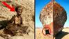 10 Creepiest Discoveries Found In The Desert