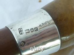 1890 Silver Carved Bovine Horn Handle Brigg Walking Stick Hallmarked Victorian