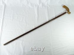 1890 Silver Carved Bovine Horn Handle Brigg Walking Stick Hallmarked Victorian