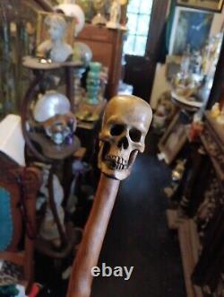 19th Century Carved Wood Skull Walking Stick Cane