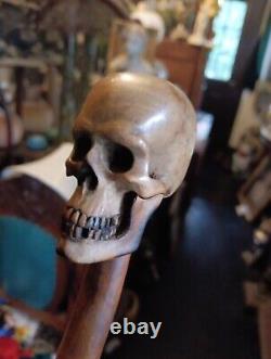 19th Century Carved Wood Skull Walking Stick Cane