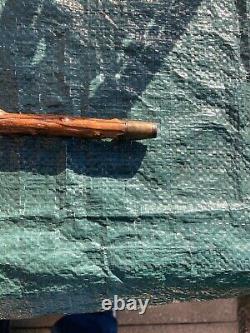 19th Century Walking Stick with Carved Horn Bird Head Handle