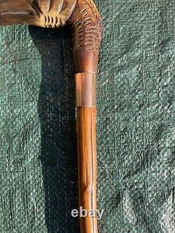 19th Century Walking Stick with Carved Horn Bird Head Handle
