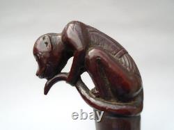 19th century rosewood walking cane the grip carved in the form of a monkey