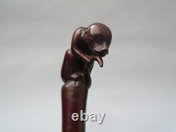 19th century rosewood walking cane the grip carved in the form of a monkey