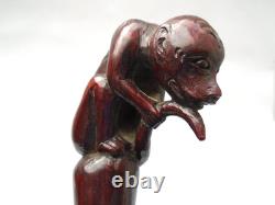19th century rosewood walking cane the grip carved in the form of a monkey