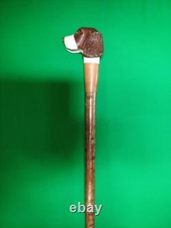 A Hand Carved Figure Of A Dogs Head Out Of Lime Timber