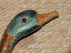 ANTIQUE WALKING CANE. 9 ct GOLD COLLAR CARVED DUCK HEAD HANDLE. 1894. 34.1/2