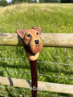 Airdale Head Hand Carved in Lime Wood Walking stick on Hazel Shank