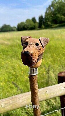 Airdale Head Hand Carved in Lime Wood Walking stick on Hazel Shank