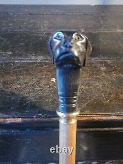 An Antique Carved Dogs Head Walking Stick