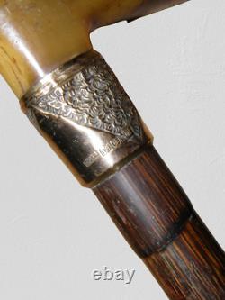 Antique 18 Carat Gold Plate Partridge Wood Dress Cane/Walking Stick W Carved Top