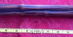 Antique 1820's Cane Walking Stick Coin Silver Band Carved Antler Handle Knob 34