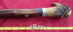 Antique 1820's Cane Walking Stick Coin Silver Band Carved Antler Handle Knob 34