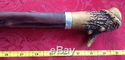 Antique 1820's Cane Walking Stick Coin Silver Band Carved Antler Handle Knob 34