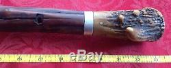 Antique 1820's Cane Walking Stick Coin Silver Band Carved Antler Handle Knob 34