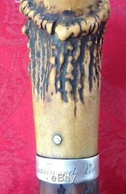 Antique 1820's Cane Walking Stick Coin Silver Band Carved Antler Handle Knob 34