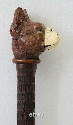 Antique 19th C Dandy Walking Stick / Cane, carved shaft & head of French Bulldog