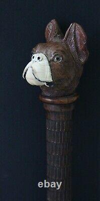 Antique 19th C Dandy Walking Stick / Cane, carved shaft & head of French Bulldog
