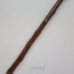 Antique 19th Century Wooden Walking Stick Handle Carved As A Foot 85cm Long