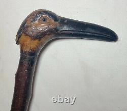 Antique 19th century hand carved bird head wood Folk Art walking stick cane iron