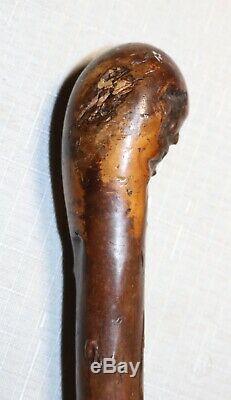 Antique 19th century hand carved thorn root wood Folk Art walking stick cane