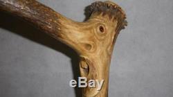 Antique Antler Hand Carved Grotesque Face WithGlass Eyes Gents Walking Stick 100cm