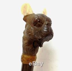 Antique Automaton Carved Boxer Dog Head Austrian Handle Walking Stick Cane Glass