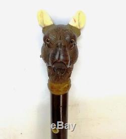 Antique Automaton Carved Boxer Dog Head Austrian Handle Walking Stick Cane Glass