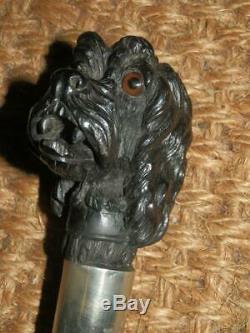 Antique BRIGG London Walking Stick -Carved Spaniel Head & Silver Collar H/m 1919