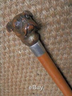 Antique BRIGG Walking Stick Hand Carved Bulldog Head & Silver Collar Hm 1928