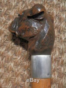 Antique BRIGG Walking Stick Hand Carved Bulldog Head & Silver Collar Hm 1928