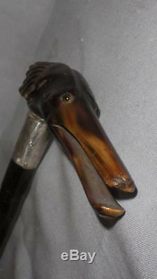 Antique Bamboo Dress Cane- Carved Bovine Horn Dogs Head With Glass Eyes- 84cm