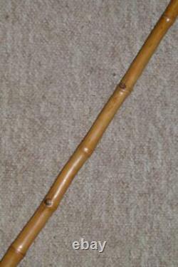Antique Bamboo Walking Cane With Hand-Carved Panting Labrador Dog Top