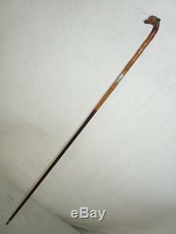 Antique Bamboo & tan dress cane with Hallmarked Silver collar & carved creature