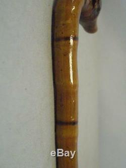 Antique Bamboo & tan dress cane with Hallmarked Silver collar & carved creature