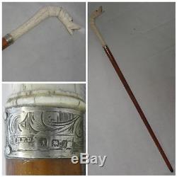 Antique Beautiful Carved Top Malacca Walking Cane- Hallmarked Collar- 85cm