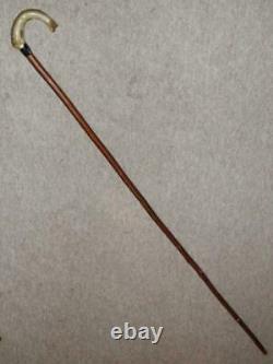 Antique Birch Walking Stick/Cane With Hand-Carved Salmon Fish Handle 138cm