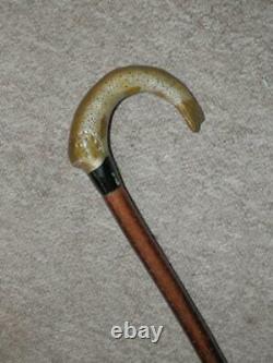 Antique Birch Walking Stick/Cane With Hand-Carved Salmon Fish Handle 138cm