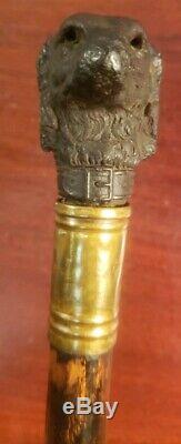 Antique Black Forest Carved Wood Dogs Head Cane Walking Stick As Pictured
