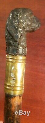 Antique Black Forest Carved Wood Dogs Head Cane Walking Stick As Pictured