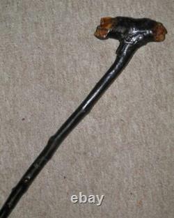 Antique Black Thorn Rustic Hand-Carved Two Caricature Faces Walking Stick/Cane