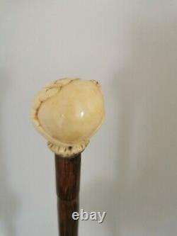 Antique Bovine Bone Hand On Ball Carved & Sterling Silver Collar Walking Cane