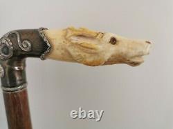 Antique Bovine Bone Stag Head Carved & Sterling Silver Walking Cane