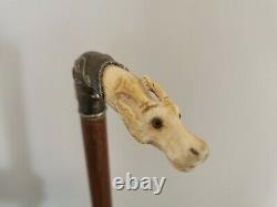 Antique Bovine Bone Stag Head Carved & Sterling Silver Walking Cane