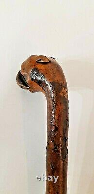Antique Boxer Dog Head Walking Stick Well Carved