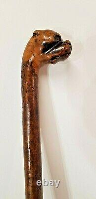 Antique Boxer Dog Head Walking Stick Well Carved