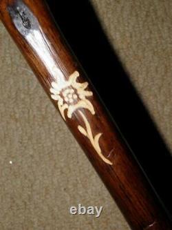 Antique Bramble Walking Stick/Cane With Hand-Carved Flower & Crook Handle 88cm