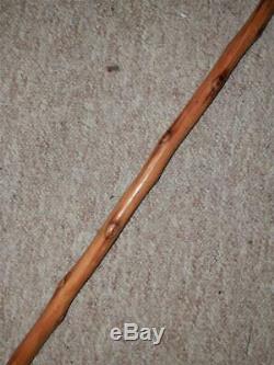 Antique Bramble Walking Stick With Hand-Painted & Carved Peacock Handle 235g