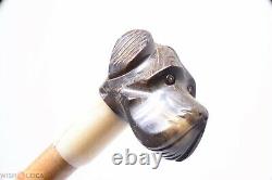 Antique Cane Walking Stick Head Carved Dog' Head Sculpted Horn Handle